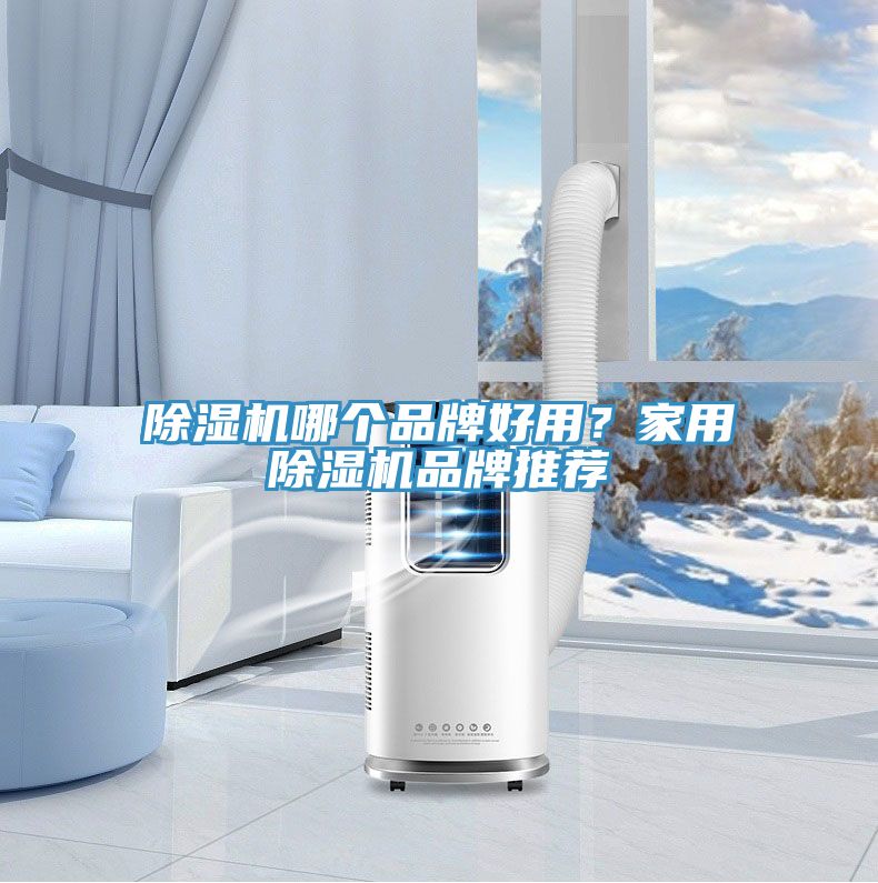 除濕機(jī)哪個(gè)品牌好用？家用除濕機(jī)品牌推薦