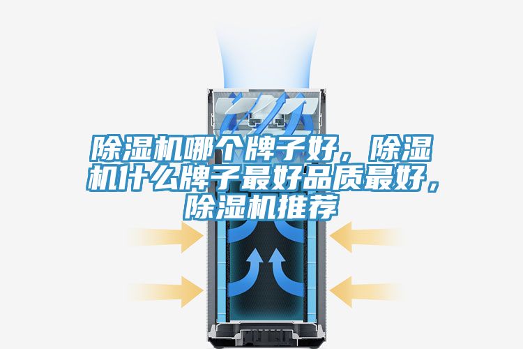 除濕機(jī)哪個(gè)牌子好，除濕機(jī)什么牌子最好品質(zhì)最好，除濕機(jī)推薦