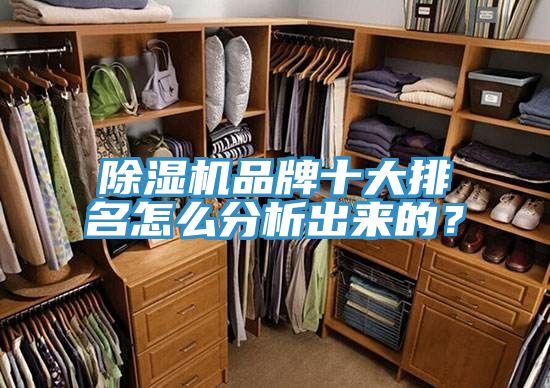除濕機(jī)品牌十大排名怎么分析出來的？