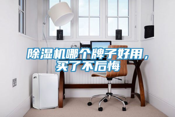 除濕機(jī)哪個(gè)牌子好用，買了不后悔