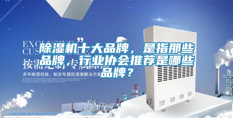 除濕機十大品牌，是指那些品牌，行業(yè)協(xié)會推薦是哪些品牌？