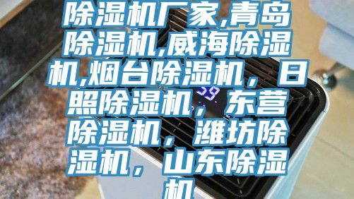 除濕機(jī)廠家,青島除濕機(jī),威海除濕機(jī),煙臺(tái)除濕機(jī)，日照除濕機(jī)，東營(yíng)除濕機(jī)，濰坊除濕機(jī)，山東除濕機(jī)