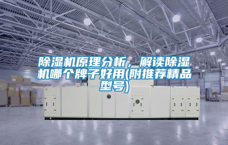 除濕機(jī)原理分析，解讀除濕機(jī)哪個(gè)牌子好用(附推薦精品型號(hào))