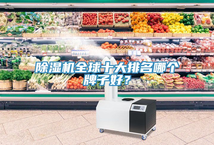 除濕機(jī)全球十大排名哪個(gè)牌子好？