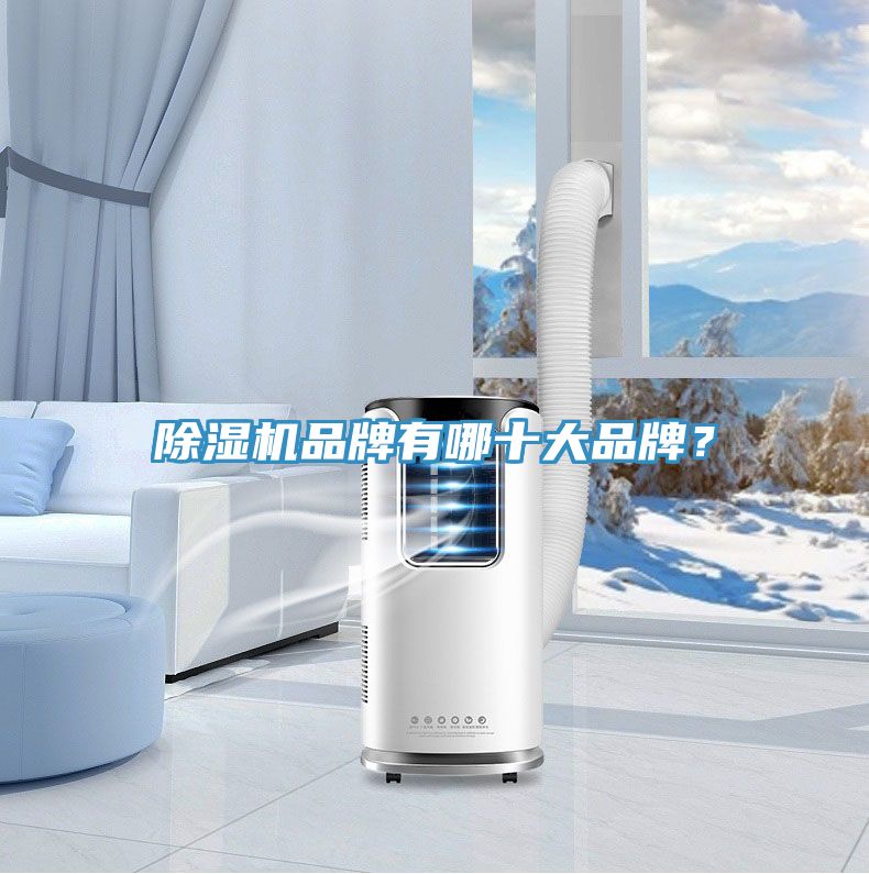 除濕機(jī)品牌有哪十大品牌？