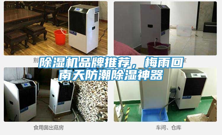 除濕機(jī)品牌推薦，梅雨回南天防潮除濕神器