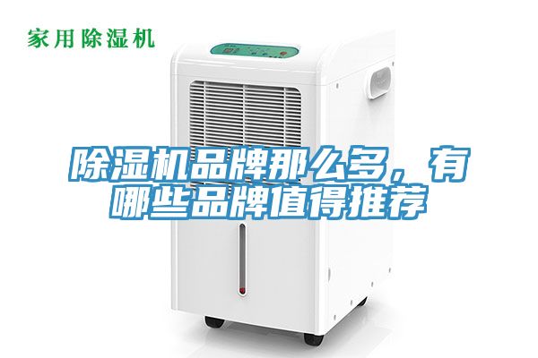 除濕機(jī)品牌那么多，有哪些品牌值得推薦