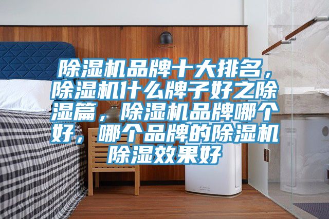 除濕機(jī)品牌十大排名，除濕機(jī)什么牌子好之除濕篇，除濕機(jī)品牌哪個(gè)好，哪個(gè)品牌的除濕機(jī)除濕效果好