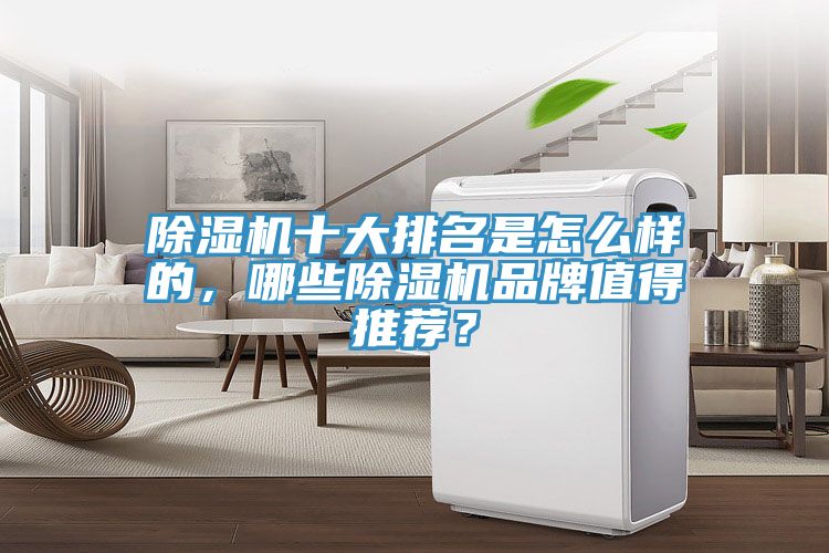 除濕機十大排名是怎么樣的，哪些除濕機品牌值得推薦？