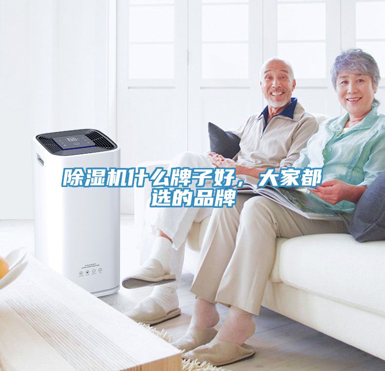 除濕機(jī)什么牌子好，大家都選的品牌