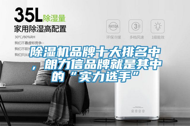 除濕機(jī)品牌十大排名中，朗力信品牌就是其中的“實力選手”