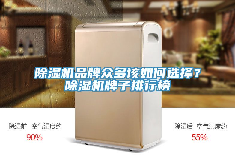 除濕機(jī)品牌眾多該如何選擇？除濕機(jī)牌子排行榜