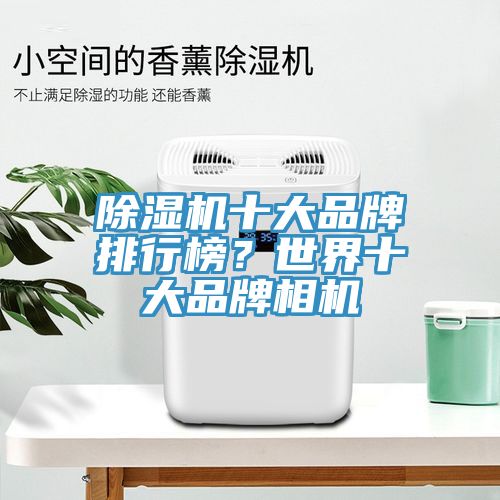 除濕機十大品牌排行榜？世界十大品牌相機