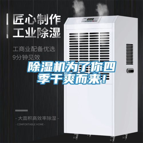 除濕機(jī)為了你四季干爽而來(lái)！
