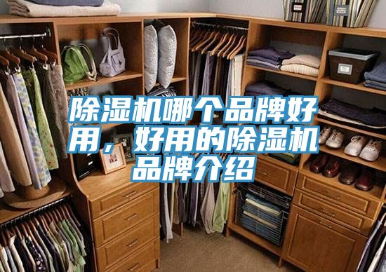 除濕機(jī)哪個(gè)品牌好用，好用的除濕機(jī)品牌介紹