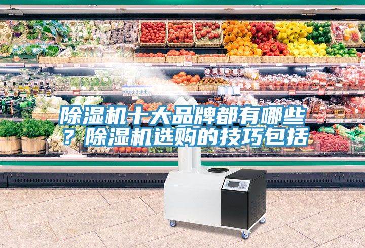 除濕機十大品牌都有哪些？除濕機選購的技巧包括