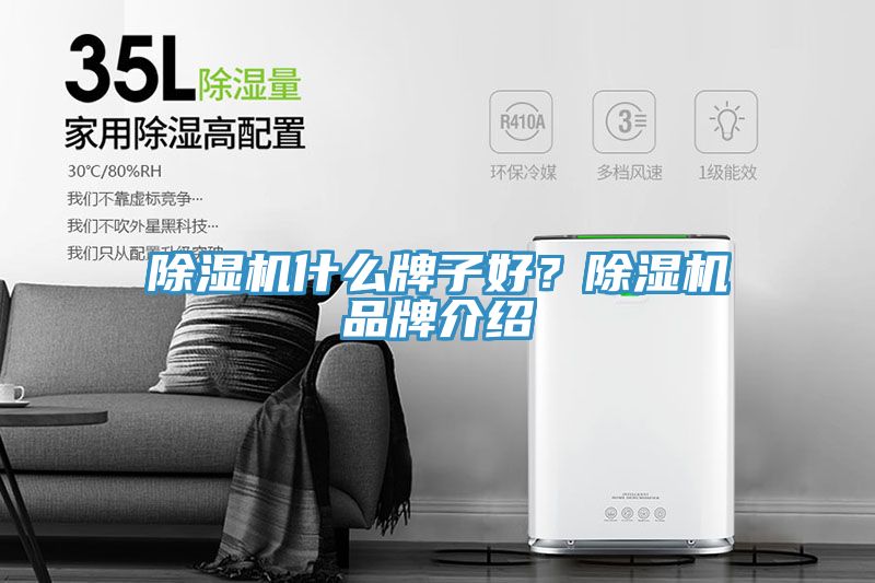 除濕機(jī)什么牌子好？除濕機(jī)品牌介紹