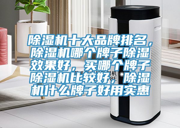 除濕機十大品牌排名，除濕機哪個牌子除濕效果好，買哪個牌子除濕機比較好，除濕機什么牌子好用實惠