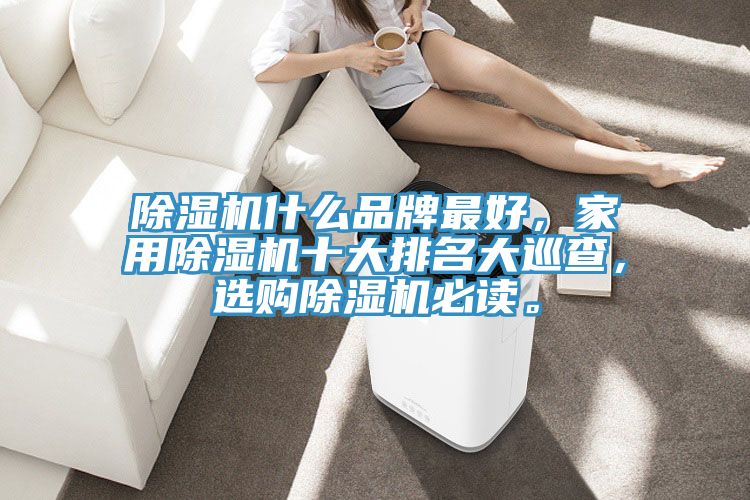除濕機(jī)什么品牌最好，家用除濕機(jī)十大排名大巡查，選購(gòu)除濕機(jī)必讀。