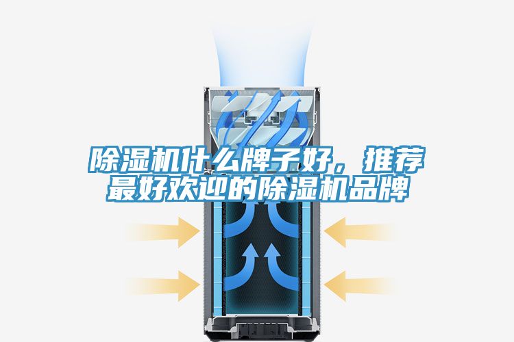 除濕機(jī)什么牌子好，推薦最好歡迎的除濕機(jī)品牌