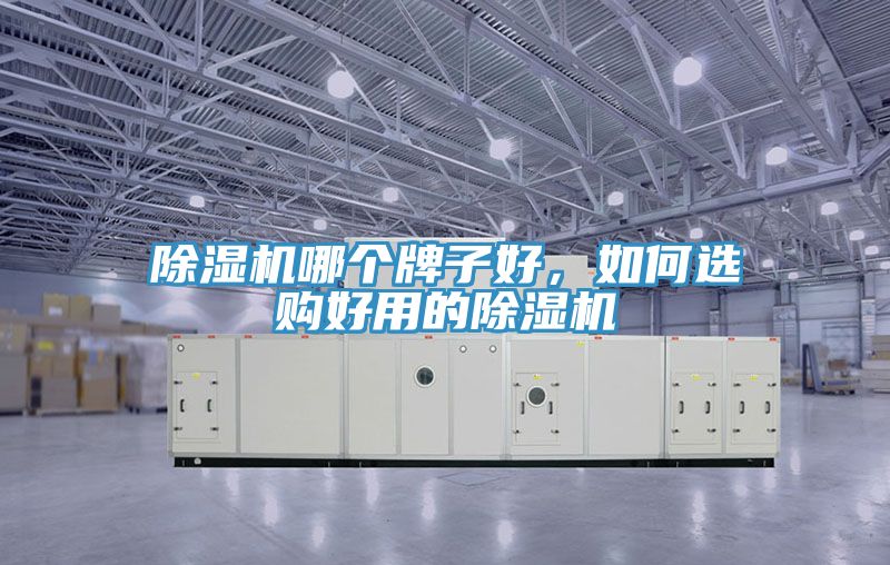 除濕機(jī)哪個(gè)牌子好，如何選購(gòu)好用的除濕機(jī)