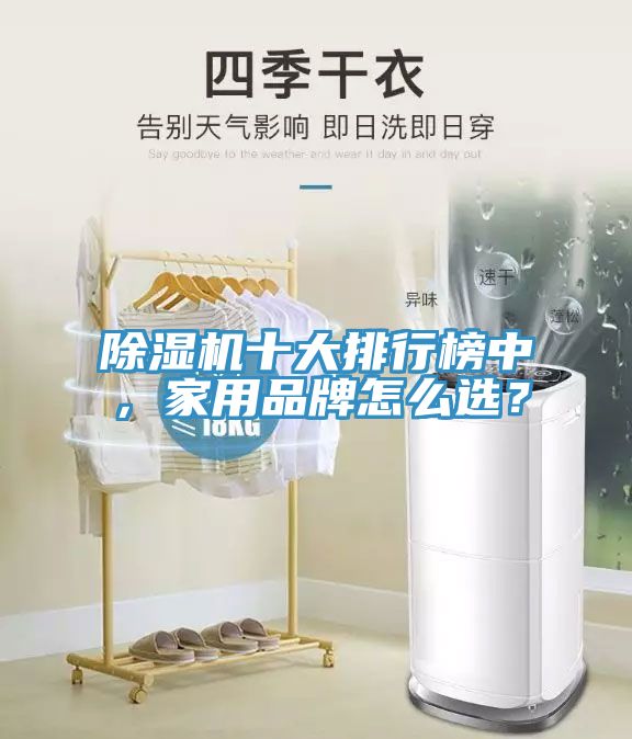 除濕機十大排行榜中，家用品牌怎么選？