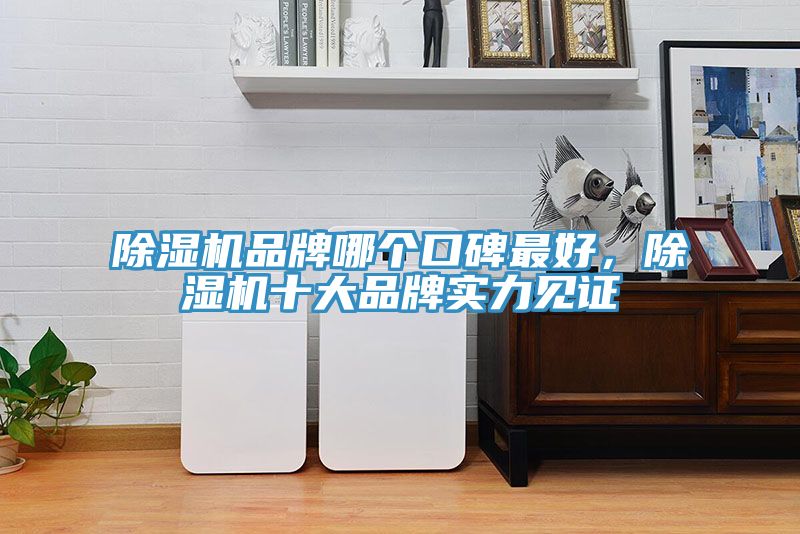 除濕機(jī)品牌哪個(gè)口碑最好，除濕機(jī)十大品牌實(shí)力見(jiàn)證