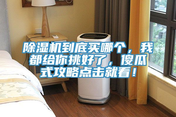 除濕機到底買哪個，我都給你挑好了，傻瓜式攻略點擊就看！