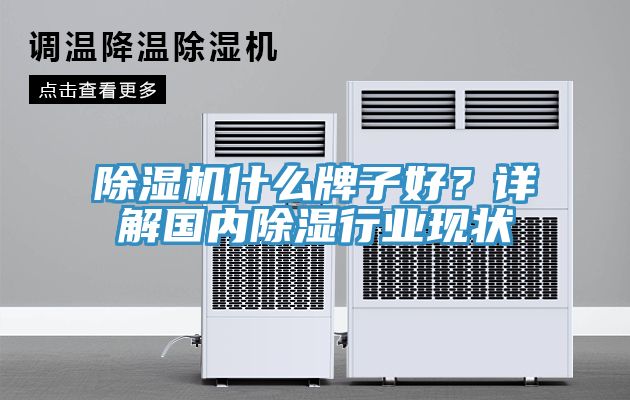 除濕機什么牌子好？詳解國內(nèi)除濕行業(yè)現(xiàn)狀