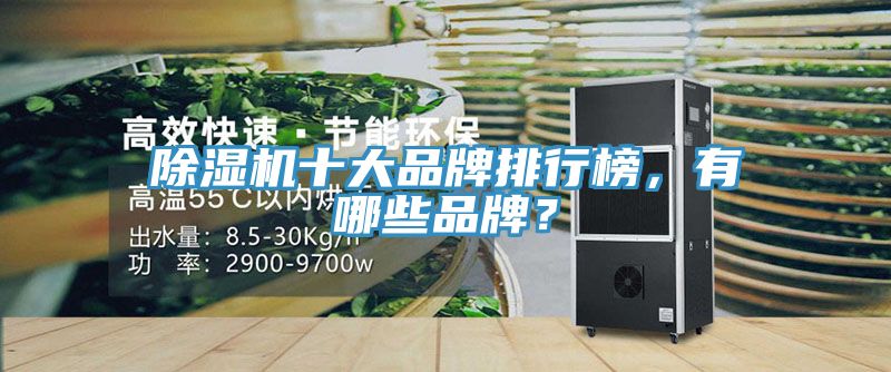 除濕機十大品牌排行榜，有哪些品牌？