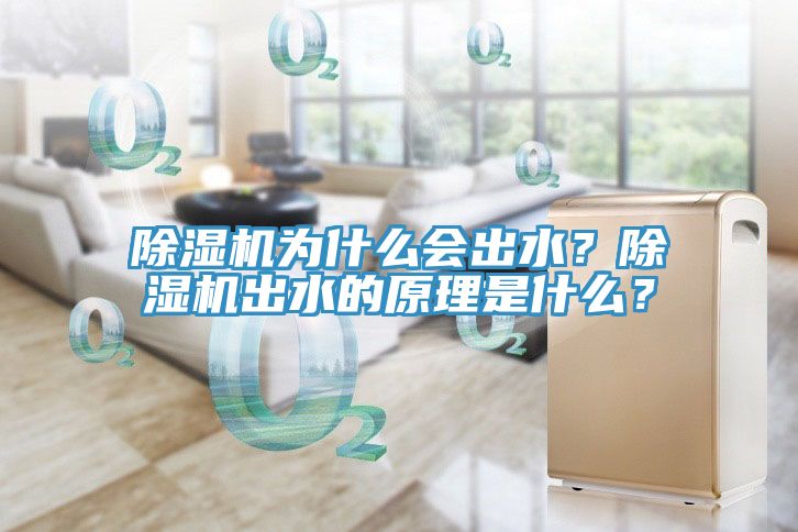 除濕機(jī)為什么會(huì)出水？除濕機(jī)出水的原理是什么？