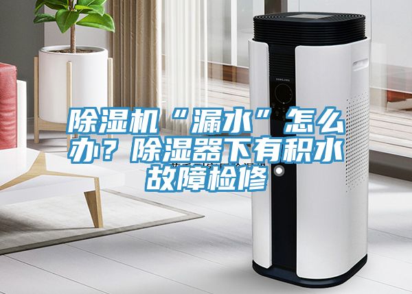 除濕機(jī)“漏水”怎么辦？除濕器下有積水故障檢修