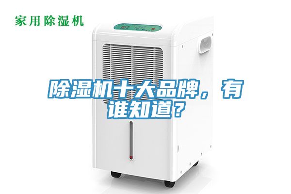 除濕機十大品牌，有誰知道？