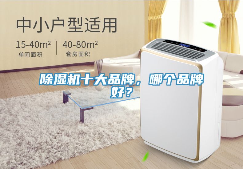 除濕機十大品牌，哪個品牌好？