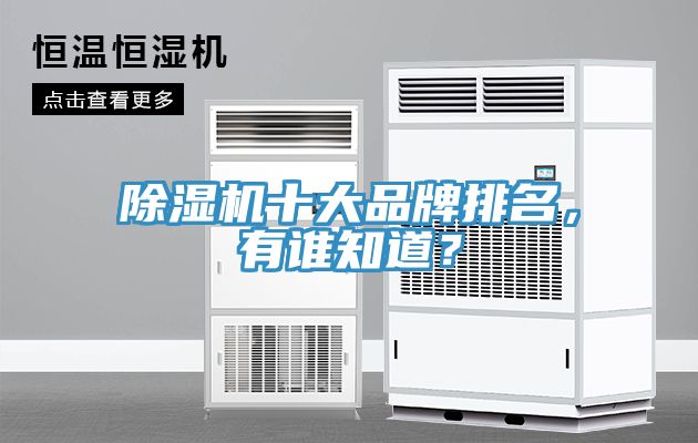 除濕機十大品牌排名，有誰知道？
