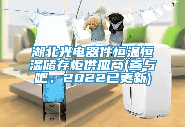 湖北光電器件恒溫恒濕儲(chǔ)存柜供應(yīng)商(參與吧，2022已更新)