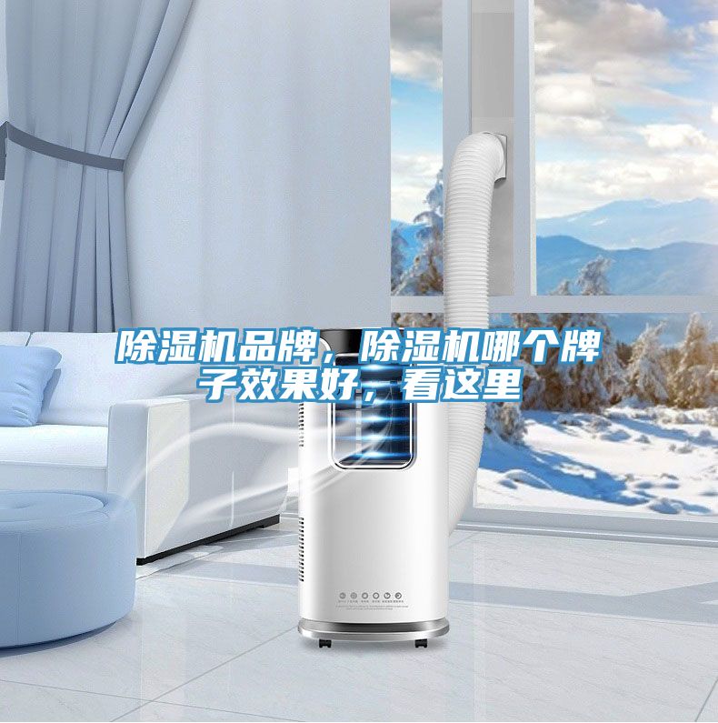 除濕機(jī)品牌，除濕機(jī)哪個(gè)牌子效果好，看這里