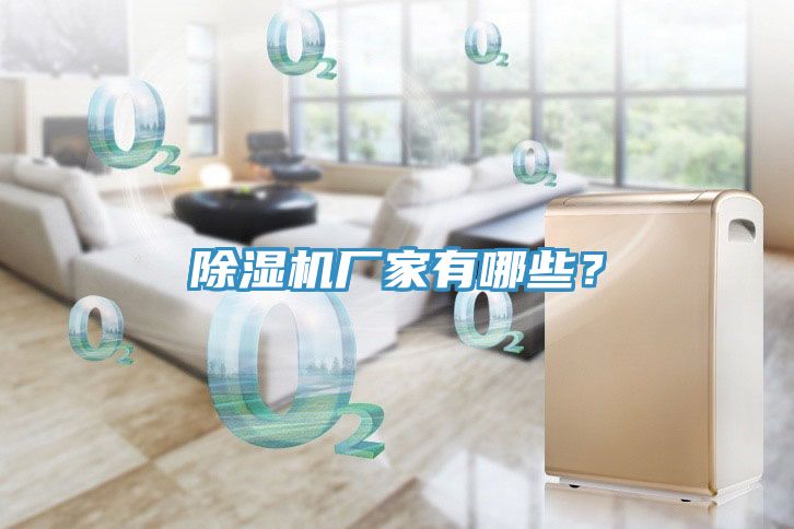 除濕機(jī)廠家有哪些？