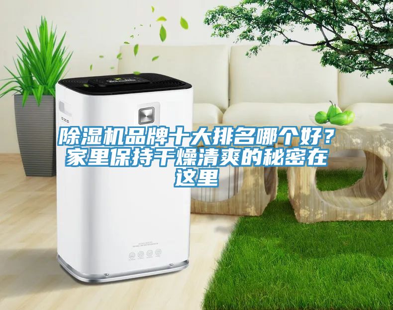 除濕機(jī)品牌十大排名哪個好？家里保持干燥清爽的秘密在這里