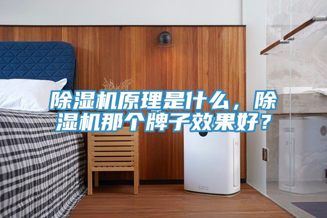 除濕機(jī)原理是什么，除濕機(jī)那個牌子效果好？