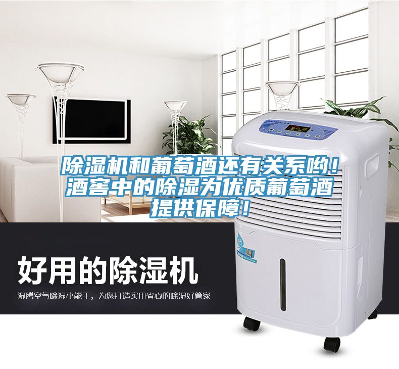 除濕機和葡萄酒還有關(guān)系喲！酒窖中的除濕為優(yōu)質(zhì)葡萄酒提供保障！