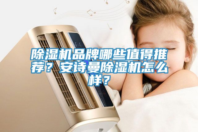 除濕機(jī)品牌哪些值得推薦？安詩(shī)曼除濕機(jī)怎么樣？