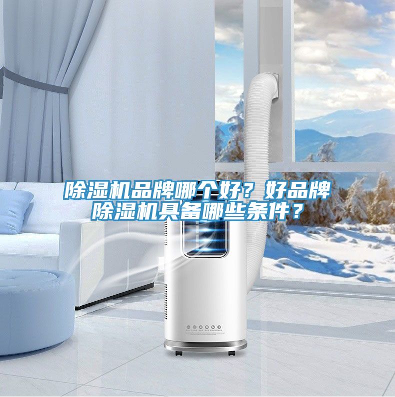除濕機(jī)品牌哪個(gè)好？好品牌除濕機(jī)具備哪些條件？