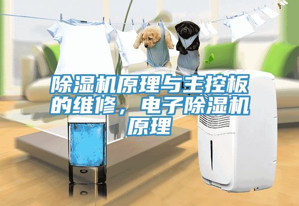 除濕機(jī)原理與主控板的維修，電子除濕機(jī)原理
