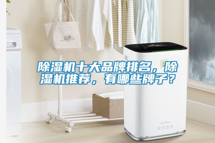 除濕機十大品牌排名，除濕機推薦，有哪些牌子？