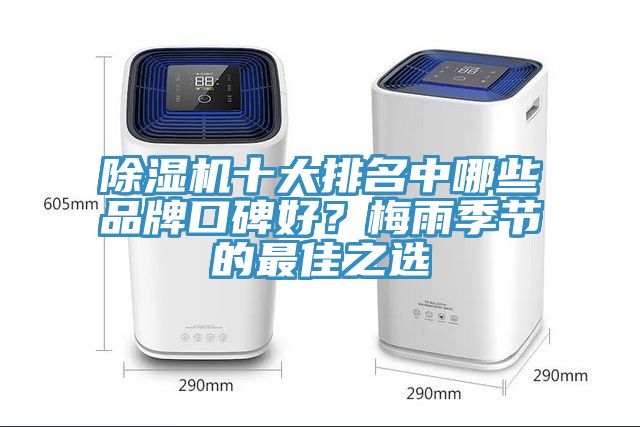 除濕機十大排名中哪些品牌口碑好？梅雨季節(jié)的最佳之選