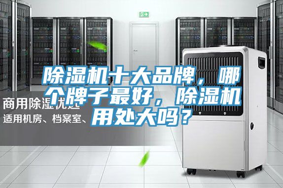 除濕機十大品牌，哪個牌子最好，除濕機用處大嗎？