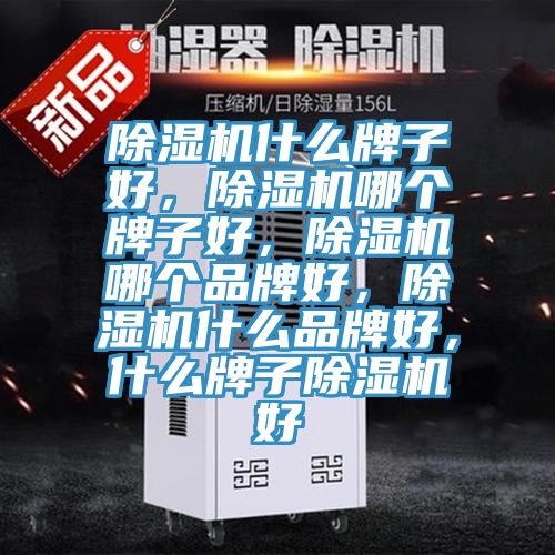 除濕機(jī)什么牌子好，除濕機(jī)哪個(gè)牌子好，除濕機(jī)哪個(gè)品牌好，除濕機(jī)什么品牌好，什么牌子除濕機(jī)好