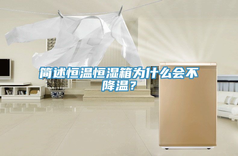 簡述恒溫恒濕箱為什么會不降溫？