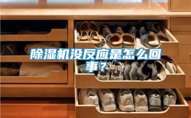 除濕機(jī)沒反應(yīng)是怎么回事？